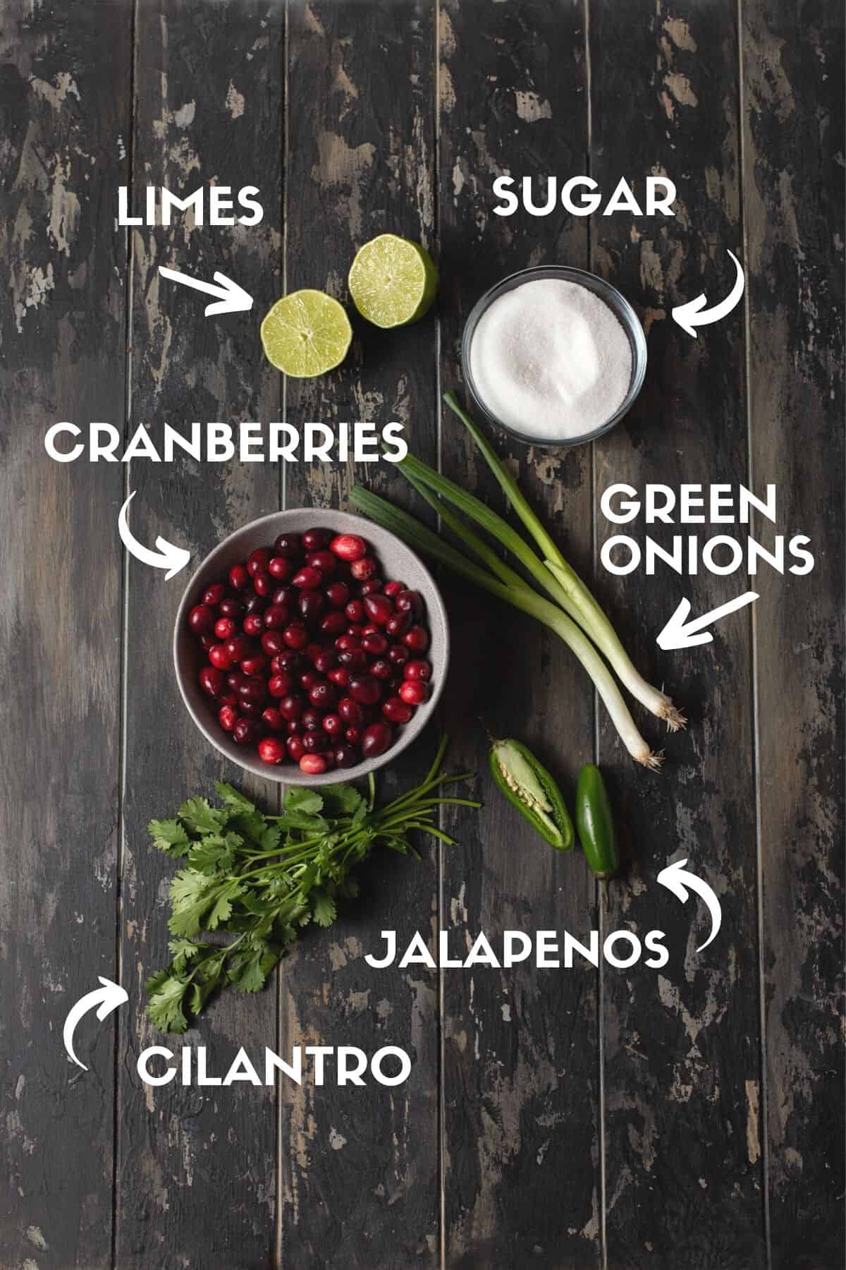 Salsa and Cranberry ingredients text.